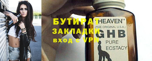 индика Алексин