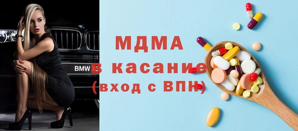 индика Алексин