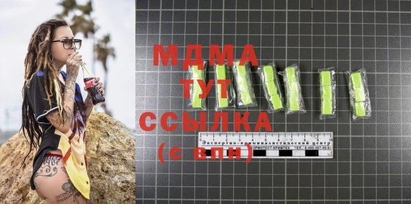 индика Алексин