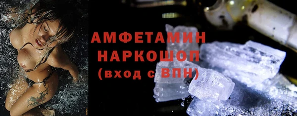 индика Алексин