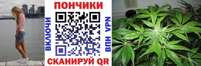 Бошки Шишки VHQ  Бодайбо 